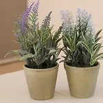 Poggio Di * パストレンゴ