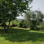 Poggio Di *
