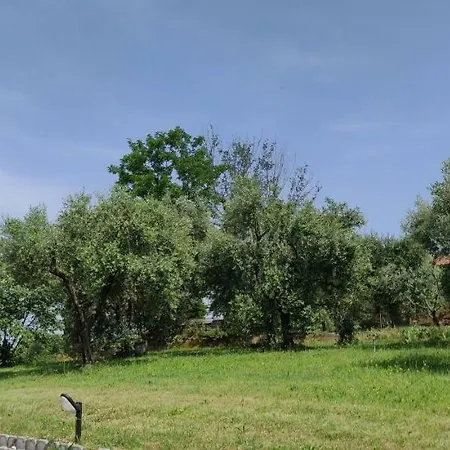 Poggio Di *