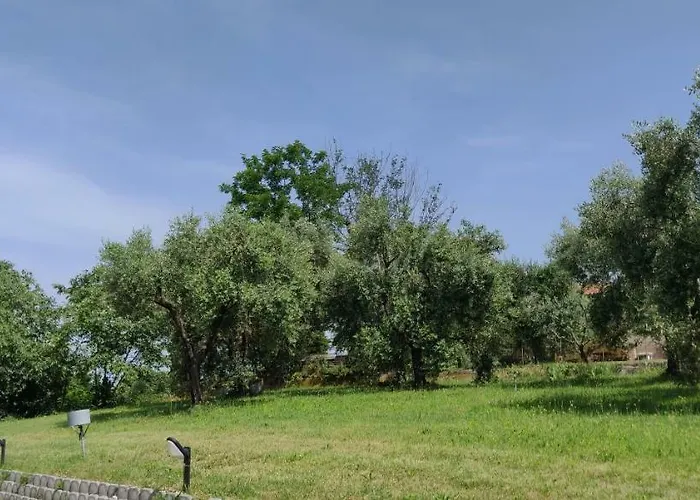 Poggio Di *